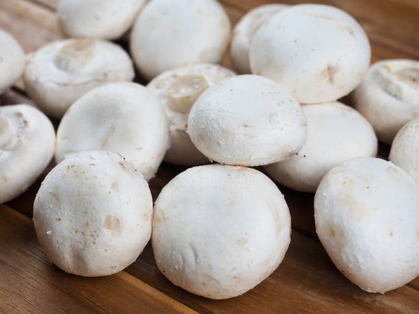 istock fresh organic white Mushroom, food 1431244751