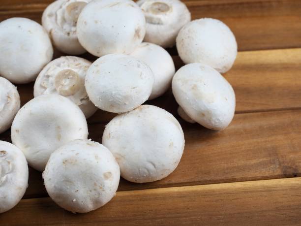 istock fresh organic white Mushroom, food 1431244755