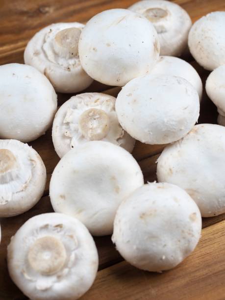 istock fresh organic white Mushroom, food 1431244757