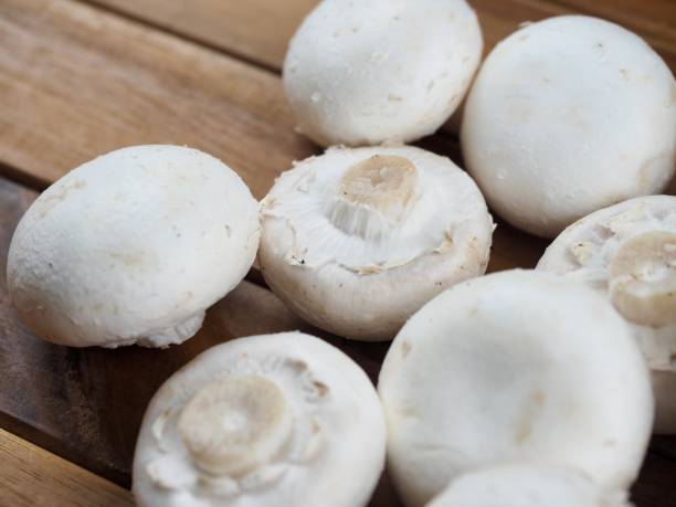 istock fresh organic white Mushroom, food 1431244782