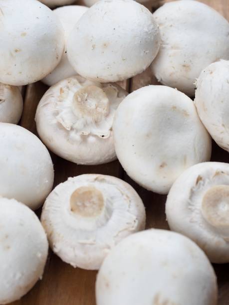 istock fresh organic white Mushroom, food 1431244808