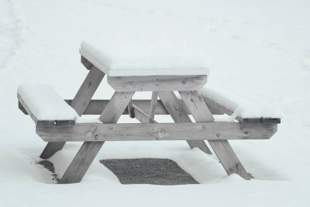 istock An empty bench in the park is covered with snow. 1431247272