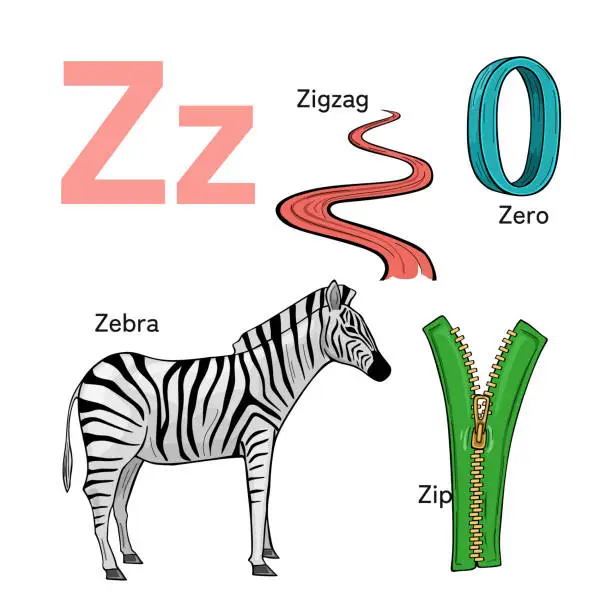 Vector illustration of English alphabet, The letters Z. Preschool and school education concept