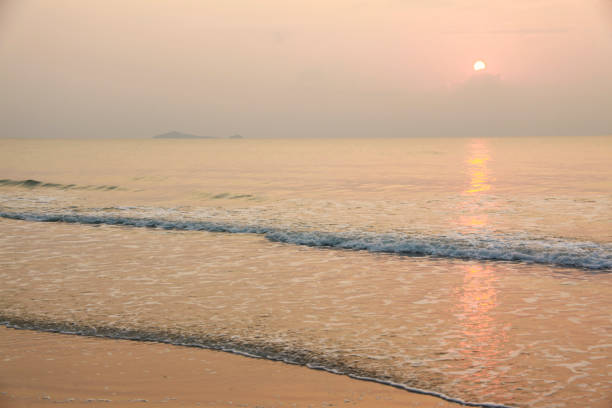 the sea and the beach during the golden sunset