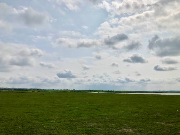 istock Green grassy plain near lake shore 1431256326