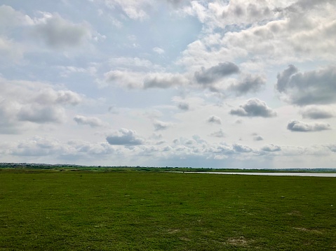 Grassy ground on lake shore. Light clouds on sky at morning time.