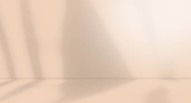 istock Background Studio Room Autumn with Wall Shadow Leaves 1431268243