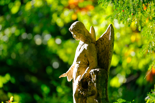statue of angel with wings on white
