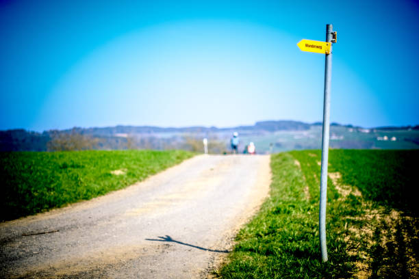 istock Road Amidst Field Against Clear Sky 1431277365