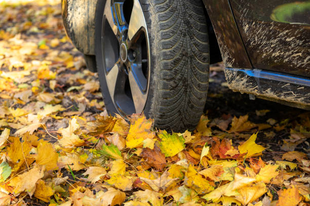 istock Danger in the autumn on the road 1431279879
