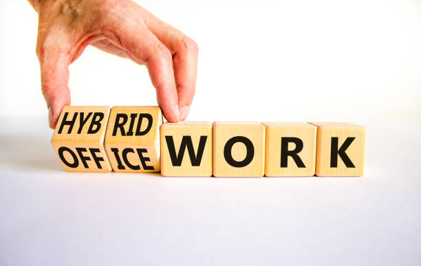 istock Hybrid or office work symbol. Businessman turns cubes and changes words 'office work' to 'hybrid work'. Beautiful white background. Business, hybrid or office working concept, copy space. 1431281613