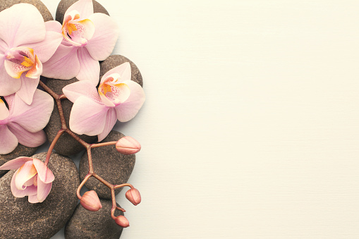Spa stones on wooden background with orchids.
