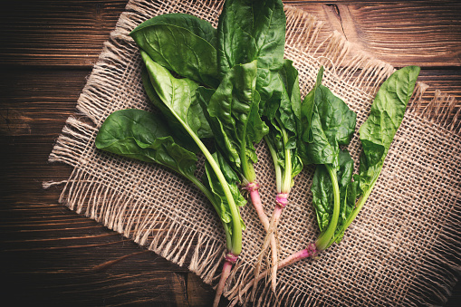 Spinach leaves isolated on white background. Various Spinach leaf Macro. Top view. Flat lay.\