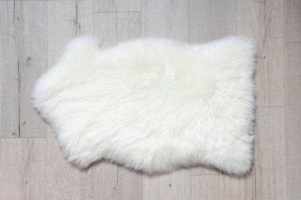 istock here's a sheep skin on the floor. Top view, copy space. 1431286283