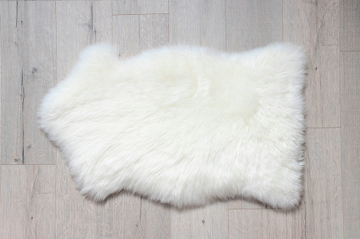 here's a sheep skin on the floor. Top view, copy space.