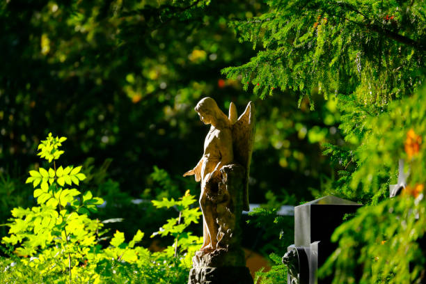 istock Antique Angel statue in a Cemetery 1431296956