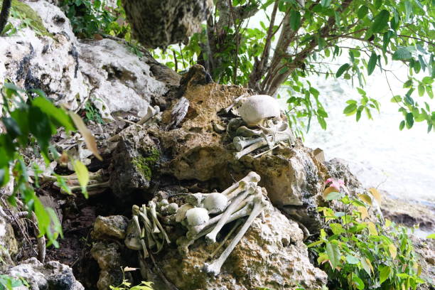 istock Old Graveyard of Padwa, Biak, Papua 1431299026