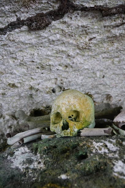 istock Old Graveyard of Padwa, Biak, Papua 1431299557