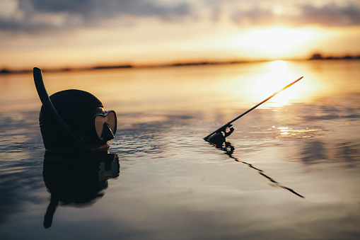 Spearfishing diver holding a speargun while immersed in sea water at sunset. Adventurous scuba diver hunting for fish in the middle of the ocean.