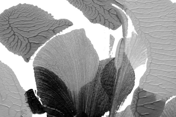 istock black white abstract acrylic painting color texture on white paper background by using rorschach inkblot method 1431303606