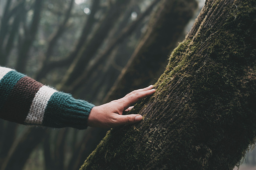 Close up of man hand touching softly a tree trunk with green musk. Concept of environment and nature protection people lifestyle. Stop deforestation. Save forests and woods. Nature outdoors park
