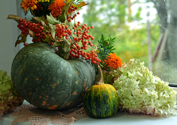 istock Vintage still life with pumpkins and decorations inside, thanksgiving day concept background 1431306866