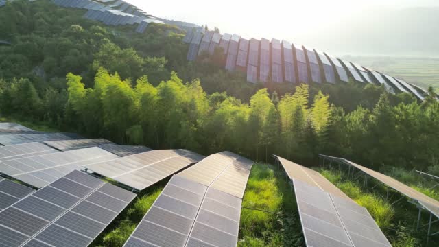 Solar panels and lush plants on top of mountain