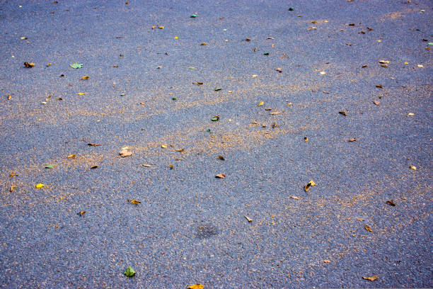 istock autumn yellow leaves on the surface kmenistoy 1431309872