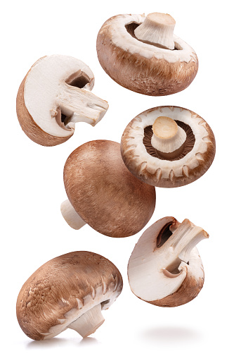 Flying in air champignon mushrooms and champignon mushroom slices isolated on white background.