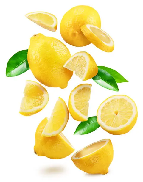 Photo of Ripe lemon fruits, slices and leaves flying in air white background. File contains clipping paths.