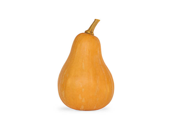istock isolated orange pumpkin off white background 1431316751