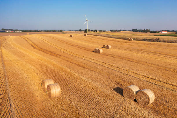 champ agricole d’une ferme avec une éolienne - windmill cultivated land crop day photos et images de collection