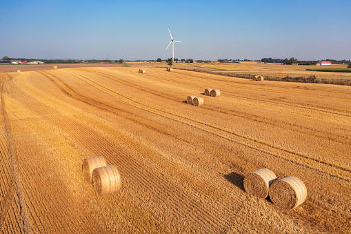 Late summer view of a field with a hay bales and a wind turbine in the background in the Skåne region in southern Sweden.