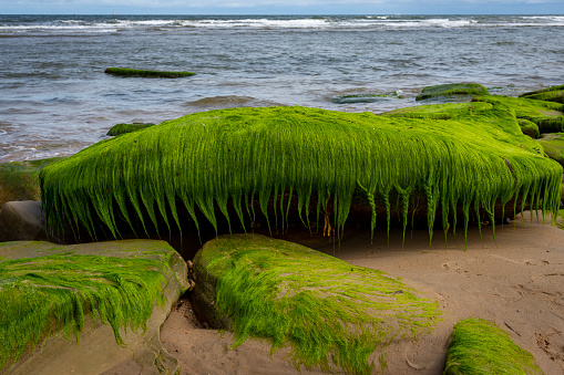 Whitley Bay rock formations.