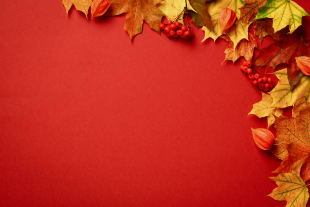 istock Autumn leaves with rowan and physalis on red background. Autumn, fall, Thanksgiving concept. Flat lay, top view, copy space. 1431330202