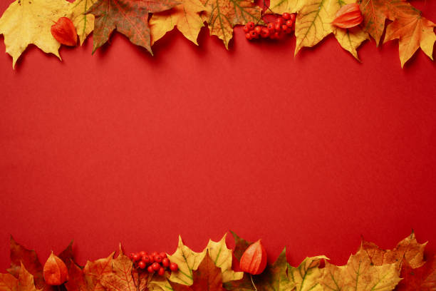 istock Autumn frame. Colorful maple leaves on red background. Autumn, fall, Thanksgiving banner design. 1431330284