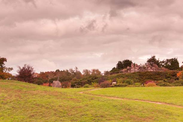 istock Nature autumn landscape in cloudy weather 1431331827
