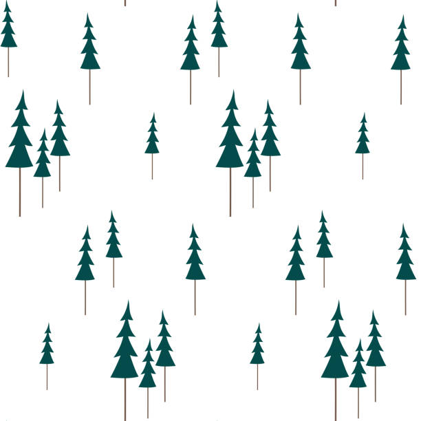 ilustrações de stock, clip art, desenhos animados e ícones de seamless pattern with christmas trees. fir forest wrapping paper. - new years eve christmas paper christmas fir tree