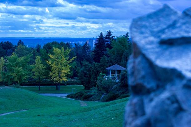 istock Nature autumn landscape in cloudy weather 1431332622