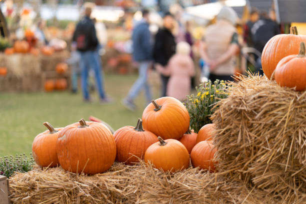 pumpkins on straw bales against the background of people at an agricultural fair - autumn stockfoto's en -beelden