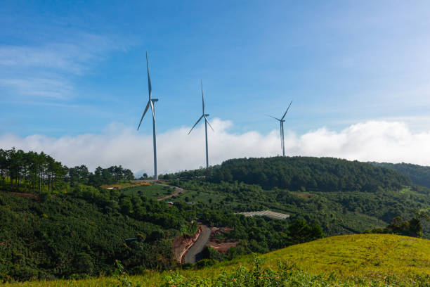 istock Renewable energy wind turbines windmill isolated on the beautiful blue sky, white clouds and on the tea fields 1431341677