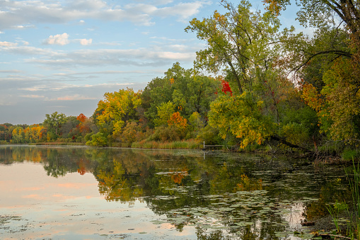 Beautiful fall colored trees on Minnesota lake. Reflection in water.