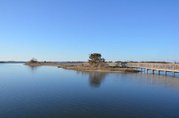 istock a lake or river with brown grasses and shore 1431347503