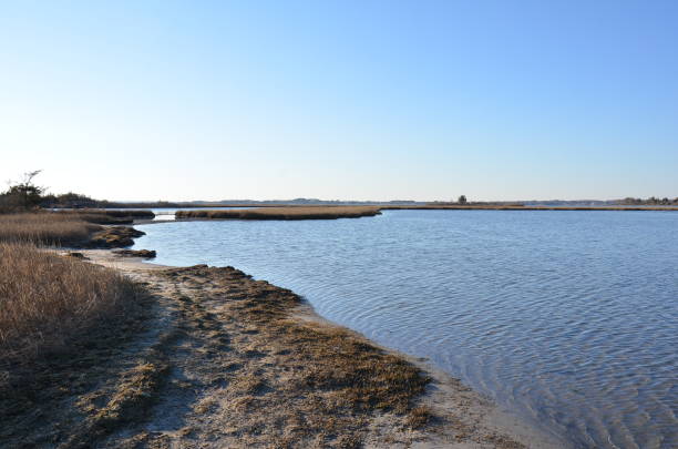 istock a lake or river with brown grasses and shore 1431347568
