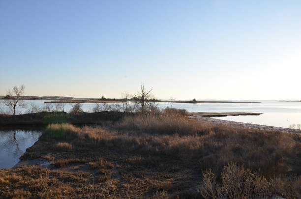 istock a lake or river with brown grasses and shore 1431347674