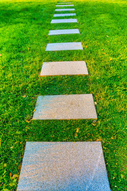A sidewalk on the lawn