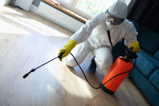 istock Pest and virus bacteria control contractor works in apartment 1431347697