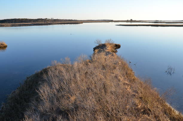 istock a lake or river with brown grasses and shore 1431347726