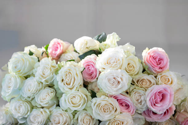 istock Bouquet of white roses close-up. 1431352500