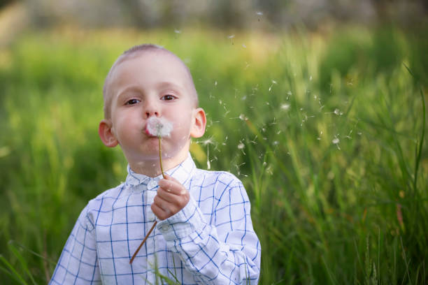 istock A little boy blows on a dandelion. Future generation. Windmills. Renewable energy sources and sustainable resources - windmills. The child plays and discovers green energy. Wind turbine. Environment 1431352620